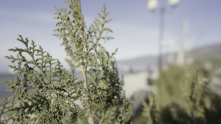 Similar image 22401669