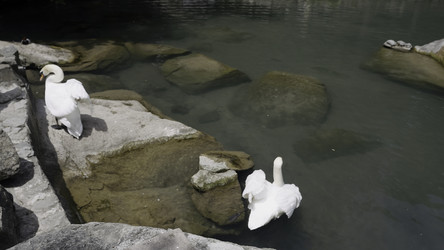 Similar image 22401683