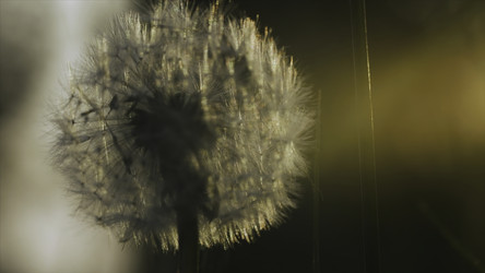 Similar image 22401814