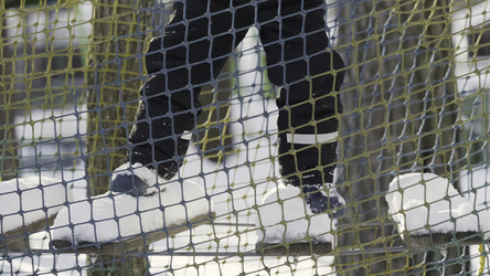 Similar image 22401817