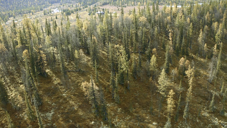 Similar image 22402009