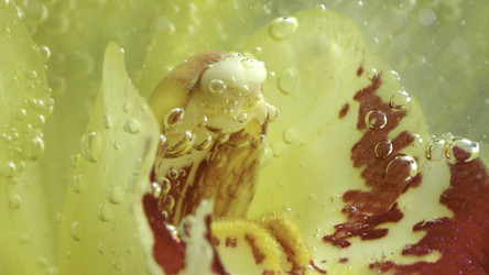 Similar image 22402042