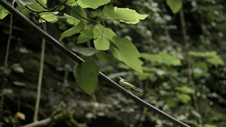 Similar image 22402131