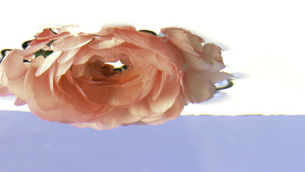 Similar image 22402160