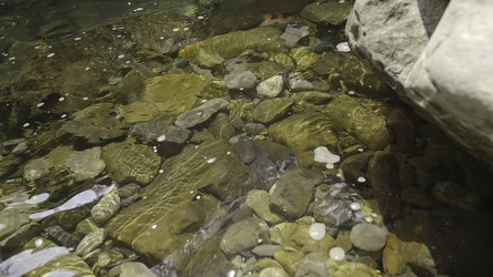 Similar image 22402279