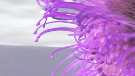 Similar image 22402295