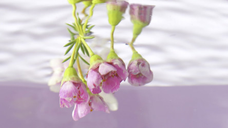 Similar image 22400941