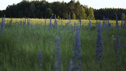 Similar image 22401181