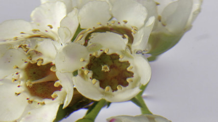 Similar image 22401254