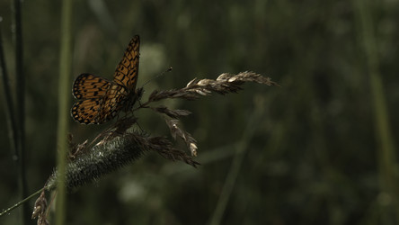 Similar image 22401344