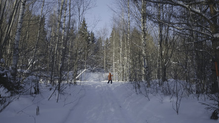 Similar image 22401388