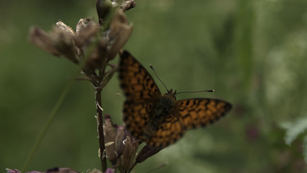 Similar image 22401417