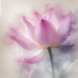 Similar image 22474533