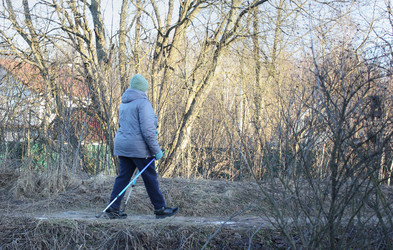 Similar image 22476409