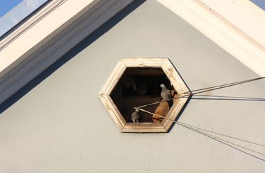 Similar image 22476410