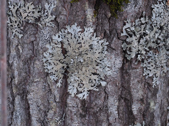 Similar image 22418897