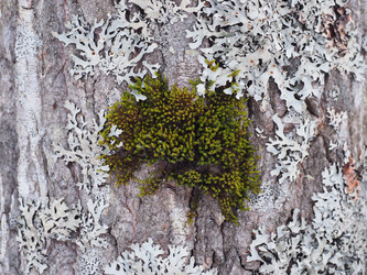 Similar image 22418898