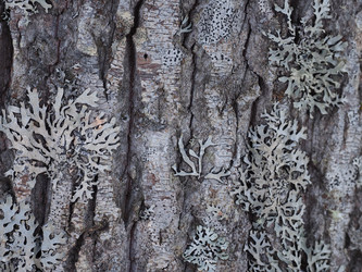 Similar image 22418899