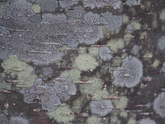 Similar image 22418900