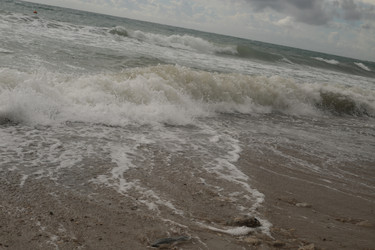 Similar image 22418836