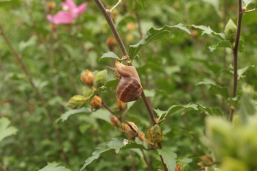 Similar image 22418851