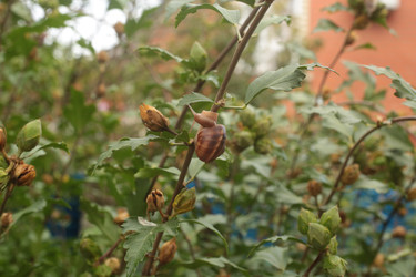 Similar image 22418852