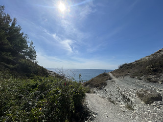 Similar image 22418853