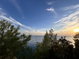 Similar image 22418854