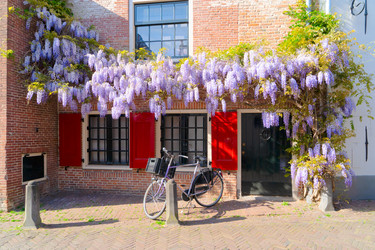 Similar image 22422433