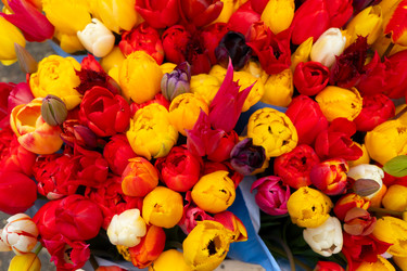 Similar image 22422435