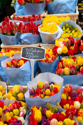 Similar image 22422436