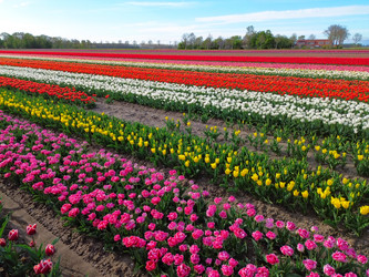 Similar image 22422449