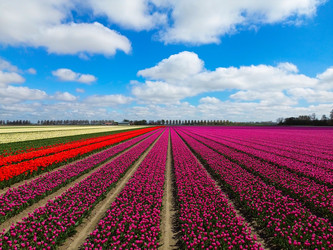 Similar image 22422450