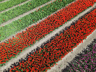 Similar image 22422451