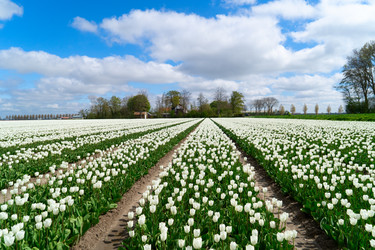 Similar image 22422452