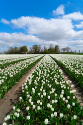 Similar image 22422453