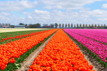 Similar image 22422455