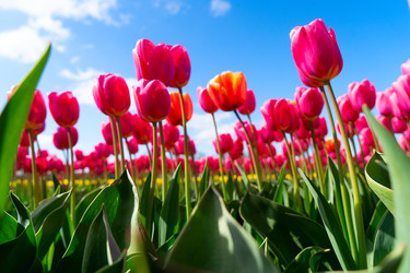 Similar image 22422457