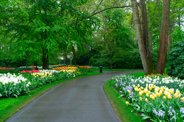 Similar image 22422460