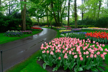 Similar image 22422461