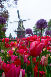 Similar image 22422463