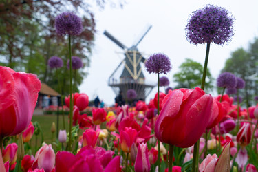 Similar image 22422464