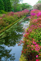 Similar image 22422465