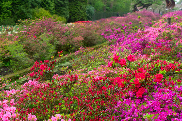 Similar image 22422466