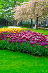 Similar image 22422467