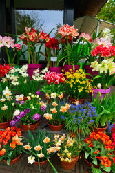 Similar image 22422469