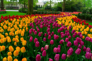 Similar image 22422471