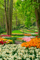 Similar image 22422472