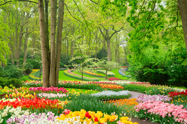 Similar image 22422473