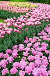 Similar image 22422475